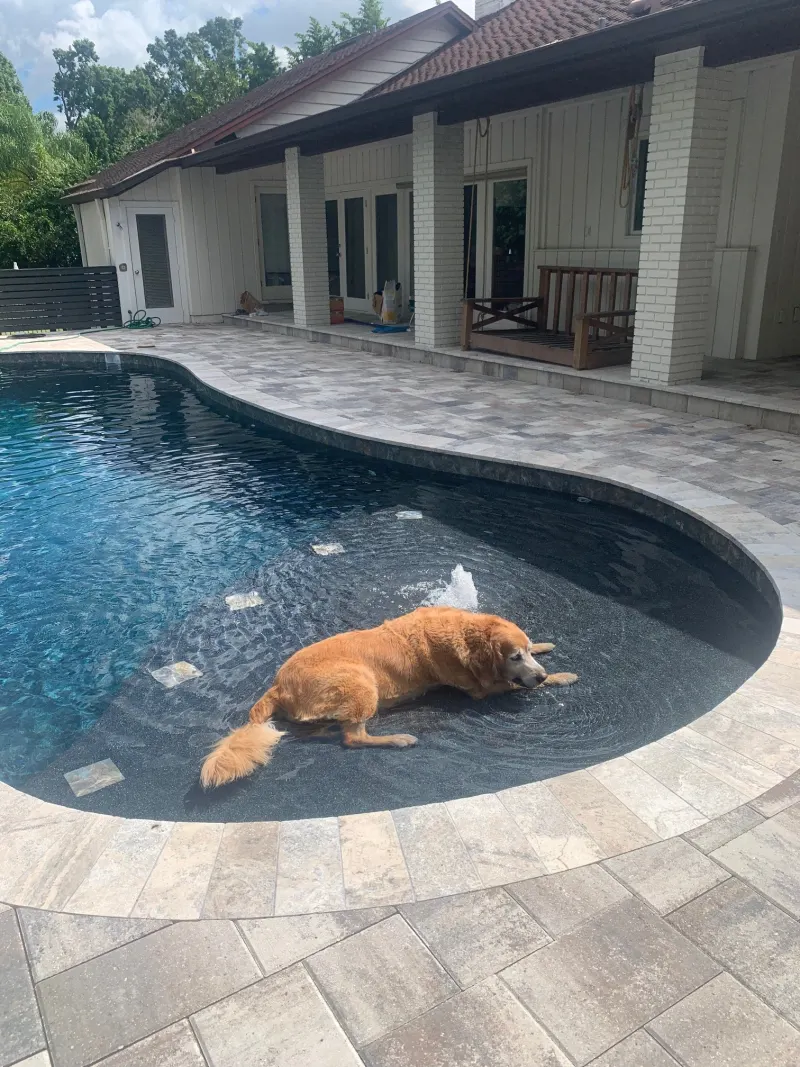 Signature sun shelf detail in a custom pool — Next Level Pools and Spas 8